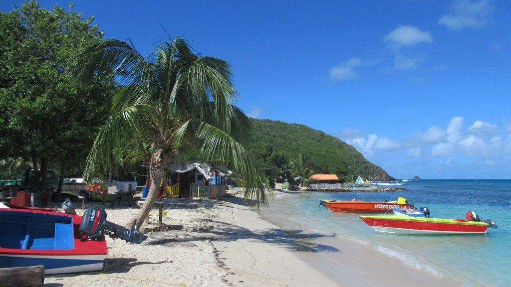 Palm trees and kayaks on the beach at Salt Whistle Bay